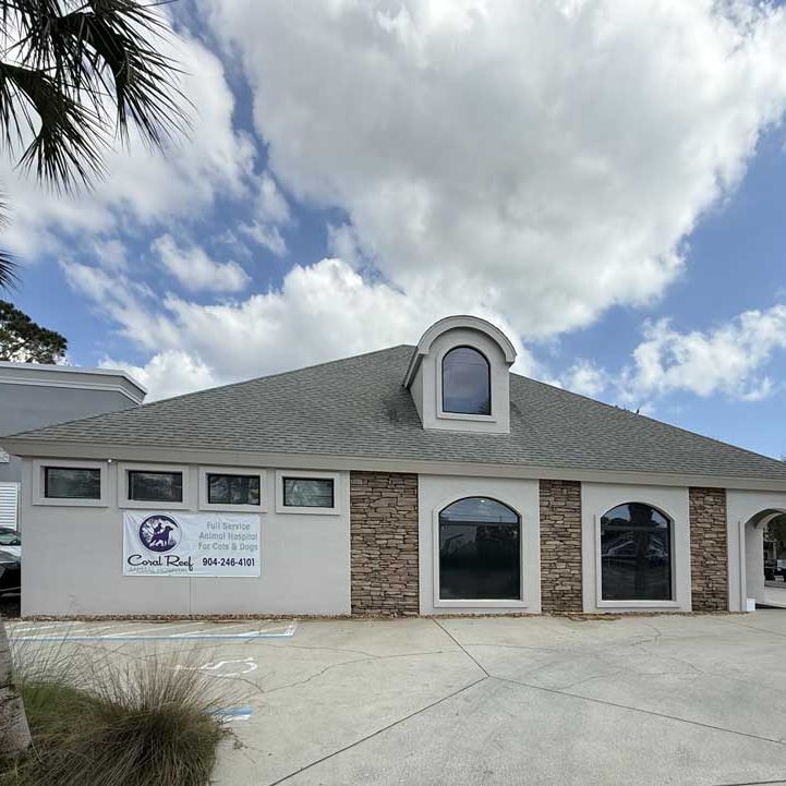 corner-view-coral-reef-animal-hospital-2